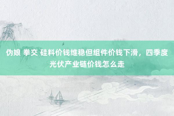伪娘 拳交 硅料价钱维稳但组件价钱下滑，四季度光伏产业链价钱怎么走