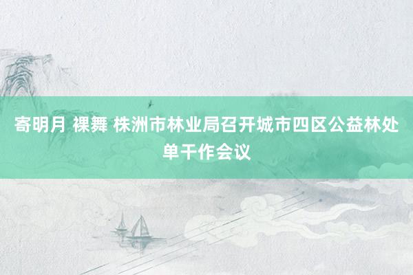 寄明月 裸舞 株洲市林业局召开城市四区公益林处单干作会议