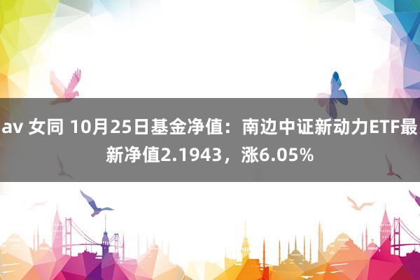 av 女同 10月25日基金净值：南边中证新动力ETF最新净值2.1943，涨6.05%
