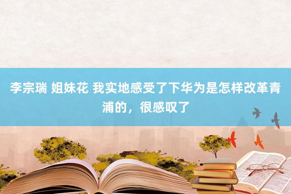 李宗瑞 姐妹花 我实地感受了下华为是怎样改革青浦的，很感叹了