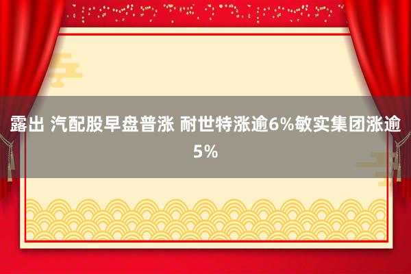 露出 汽配股早盘普涨 耐世特涨逾6%敏实集团涨逾5%