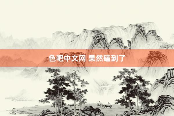 色吧中文网 果然磕到了