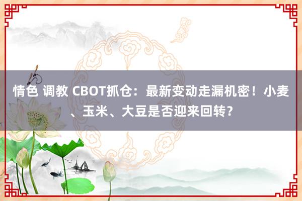 情色 调教 CBOT抓仓：最新变动走漏机密！小麦、玉米、大豆是否迎来回转？