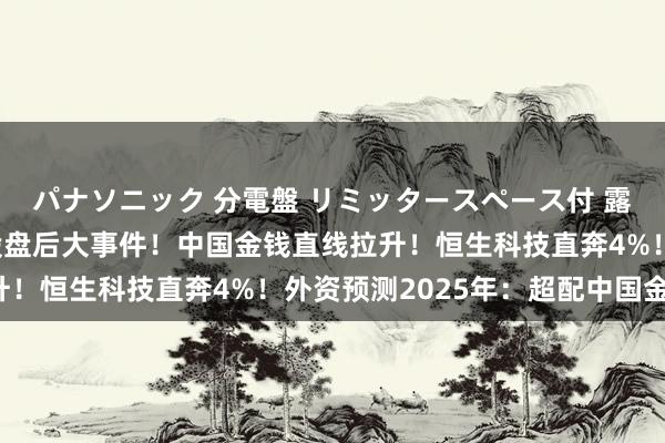 パナソニック 分電盤 リミッタースペース付 露出・半埋込両用形 A股盘后大事件！中国金钱直线拉升！恒生科技直奔4%！外资预测2025年：超配中国金钱！