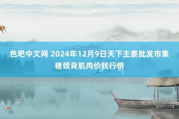 色吧中文网 2024年12月9日天下主要批发市集猪颈背肌肉价钱行情