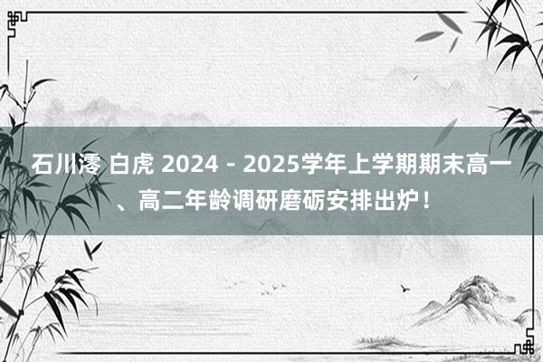 石川澪 白虎 2024－2025学年上学期期末高一、高二年龄调研磨砺安排出炉！