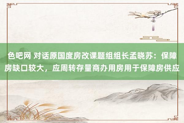 色吧网 对话原国度房改课题组组长孟晓苏：保障房缺口较大，应周转存量商办用房用于保障房供应