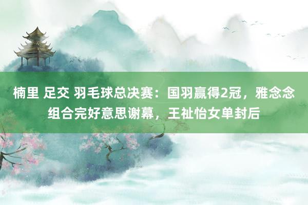 楠里 足交 羽毛球总决赛：国羽赢得2冠，雅念念组合完好意思谢幕，王祉怡女单封后
