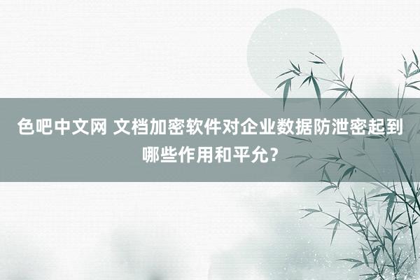 色吧中文网 文档加密软件对企业数据防泄密起到哪些作用和平允？