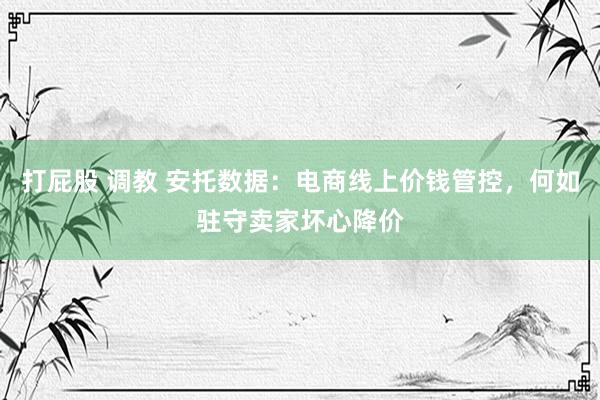 打屁股 调教 安托数据：电商线上价钱管控，何如驻守卖家坏心降价