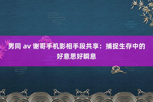 男同 av 谢哥手机影相手段共享：捕捉生存中的好意思好瞬息