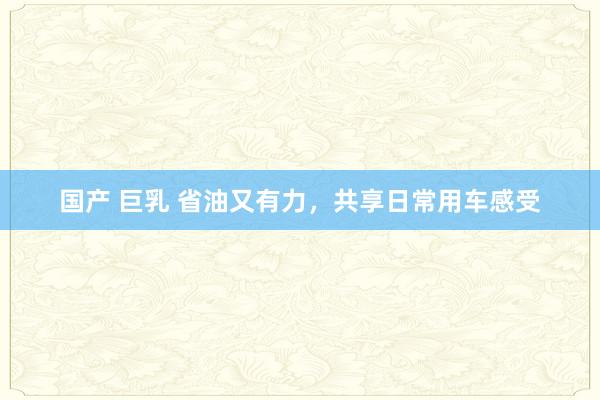 国产 巨乳 省油又有力，共享日常用车感受