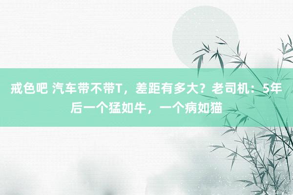 戒色吧 汽车带不带T，差距有多大？老司机：5年后一个猛如牛，一个病如猫