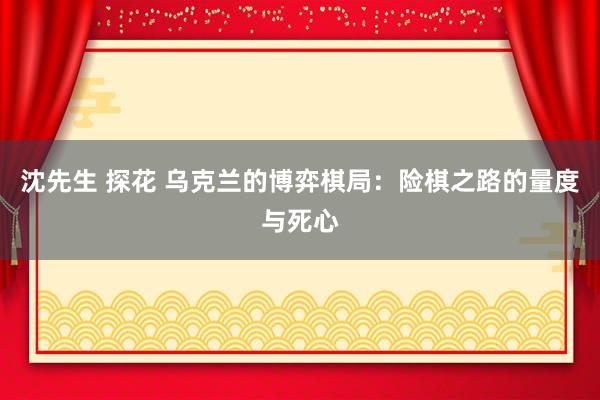 沈先生 探花 乌克兰的博弈棋局：险棋之路的量度与死心