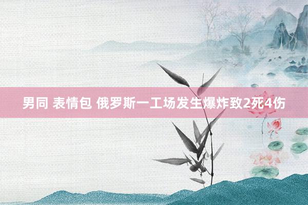 男同 表情包 俄罗斯一工场发生爆炸致2死4伤