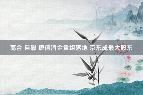 高合 自慰 捷信消金重组落地 京东成最大股东