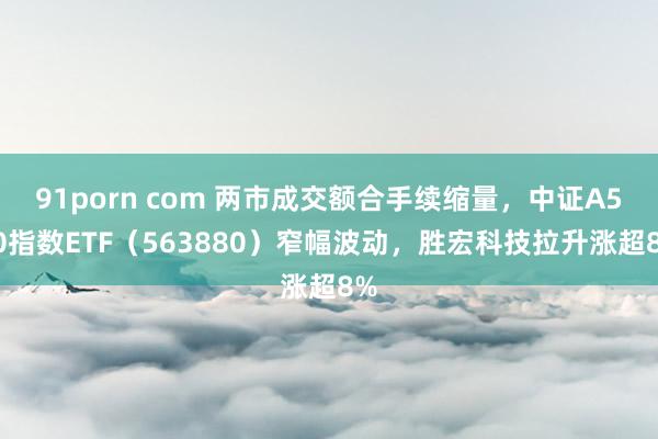 91porn com 两市成交额合手续缩量，中证A500指数ETF（563880）窄幅波动，胜宏科技拉升涨超8%