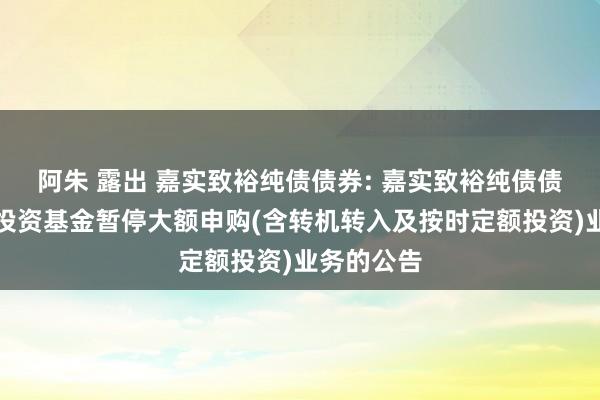 阿朱 露出 嘉实致裕纯债债券: 嘉实致裕纯债债券型证券投资基金暂停大额申购(含转机转入及按时定额投资)业务的公告