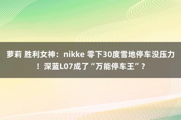 萝莉 胜利女神：nikke 零下30度雪地停车没压力！深蓝L07成了“万能停车王”？