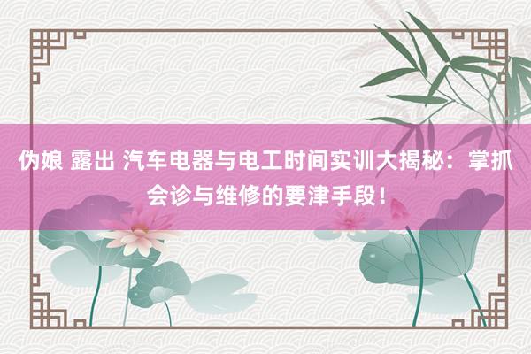 伪娘 露出 汽车电器与电工时间实训大揭秘：掌抓会诊与维修的要津手段！