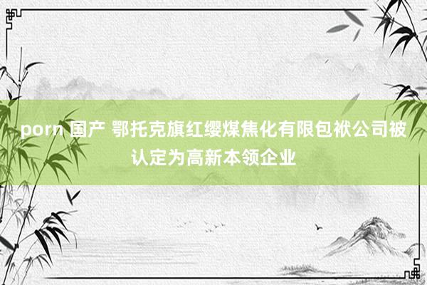 porn 国产 鄂托克旗红缨煤焦化有限包袱公司被认定为高新本领企业