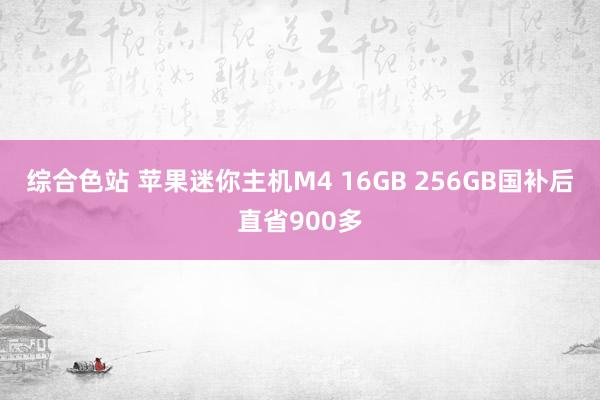 综合色站 苹果迷你主机M4 16GB 256GB国补后直省900多