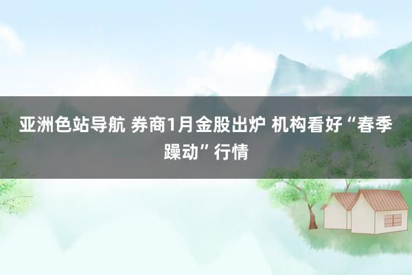 亚洲色站导航 券商1月金股出炉 机构看好“春季躁动”行情