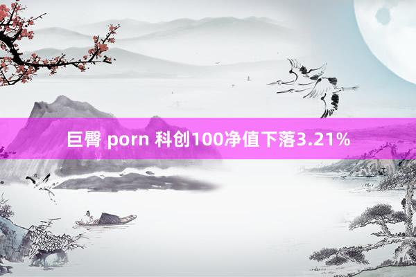 巨臀 porn 科创100净值下落3.21%