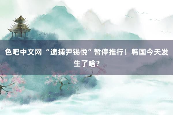 色吧中文网 “逮捕尹锡悦”暂停推行！韩国今天发生了啥？