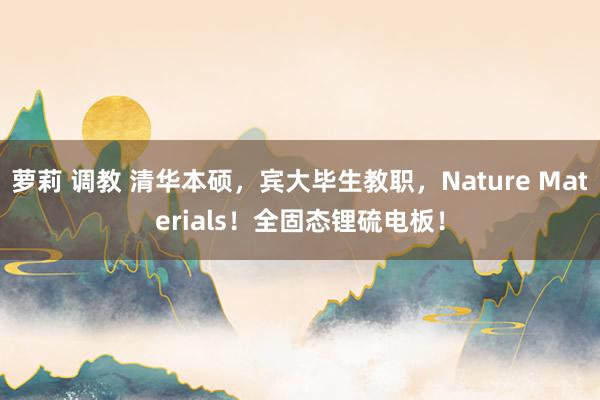 萝莉 调教 清华本硕，宾大毕生教职，Nature Materials！全固态锂硫电板！