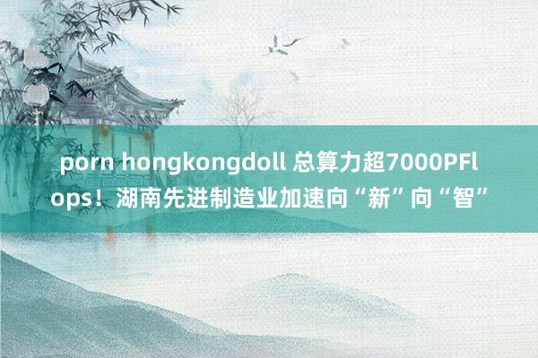 porn hongkongdoll 总算力超7000PFlops！湖南先进制造业加速向“新”向“智”