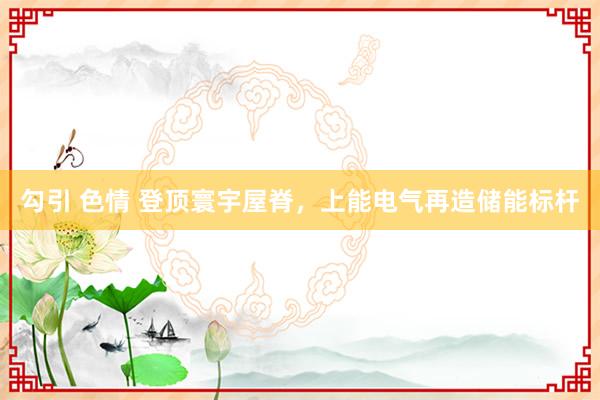 勾引 色情 登顶寰宇屋脊，上能电气再造储能标杆