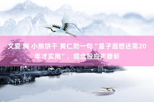 文爱 胸 小熊饼干 黄仁勋一句“量子遐想还需20年才实用”，观念股应声腰斩