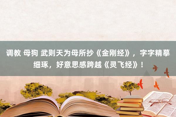 调教 母狗 武则天为母所抄《金刚经》，字字精摹细琢，好意思感跨越《灵飞经》！