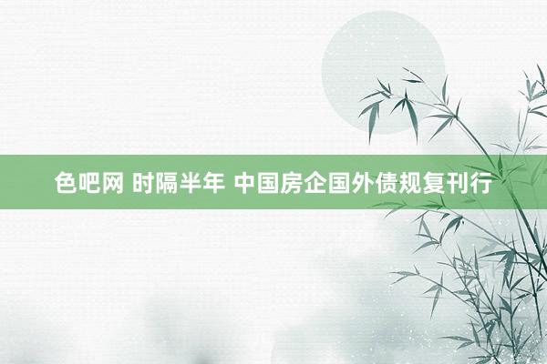 色吧网 时隔半年 中国房企国外债规复刊行