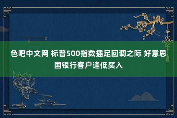 色吧中文网 标普500指数插足回调之际 好意思国银行客户逢低买入