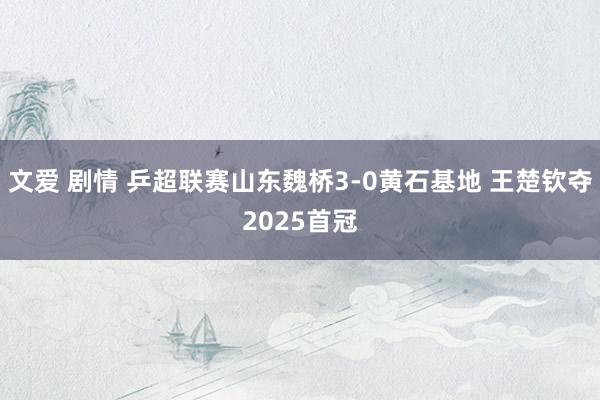 文爱 剧情 乒超联赛山东魏桥3-0黄石基地 王楚钦夺2025首冠