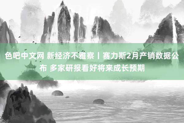 色吧中文网 新经济不雅察丨赛力斯2月产销数据公布 多家研报看好将来成长预期