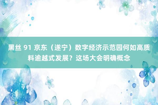 黑丝 91 京东（遂宁）数字经济示范园何如高质料逾越式发展？这场大会明确概念