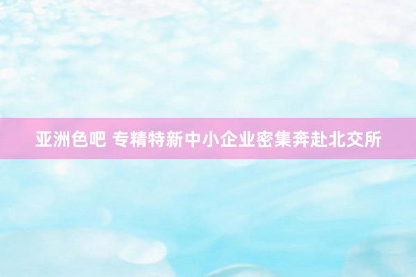 亚洲色吧 专精特新中小企业密集奔赴北交所