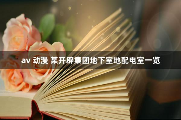 av 动漫 某开辟集团地下室地配电室一览