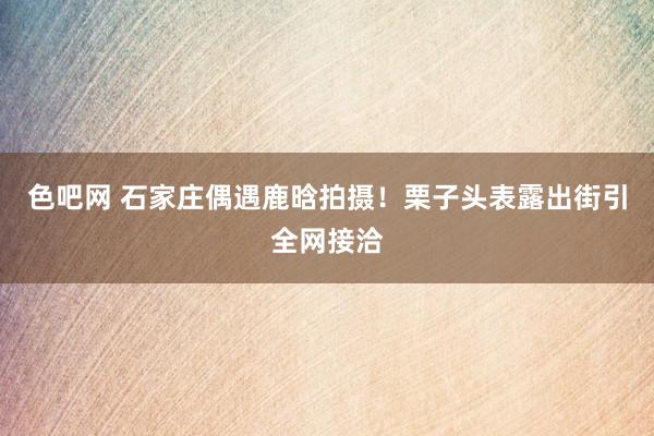 色吧网 石家庄偶遇鹿晗拍摄！栗子头表露出街引全网接洽