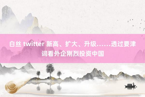 白丝 twitter 新高、扩大、升级……透过要津词看外企刚烈投资中国