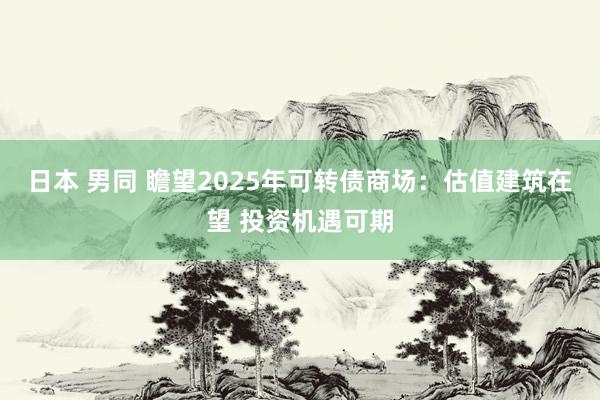 日本 男同 瞻望2025年可转债商场：估值建筑在望 投资机遇可期