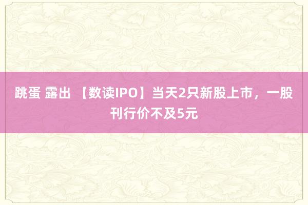 跳蛋 露出 【数读IPO】当天2只新股上市，一股刊行价不及5元