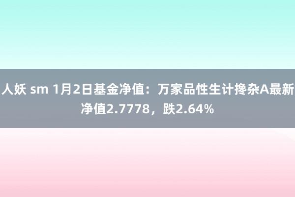 人妖 sm 1月2日基金净值：万家品性生计搀杂A最新净值2.7778，跌2.64%