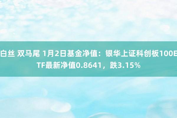 白丝 双马尾 1月2日基金净值：银华上证科创板100ETF最新净值0.8641，跌3.15%