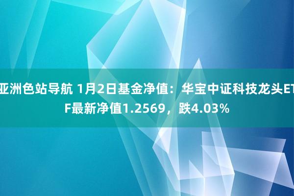 亚洲色站导航 1月2日基金净值：华宝中证科技龙头ETF最新净值1.2569，跌4.03%