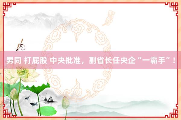 男同 打屁股 中央批准，副省长任央企“一霸手”！