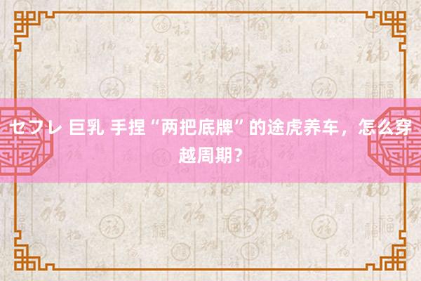 セフレ 巨乳 手捏“两把底牌”的途虎养车，怎么穿越周期？